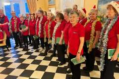 Festive-Season-2023-Image-34