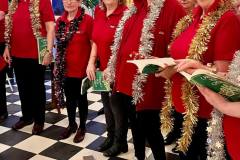Festive-Season-2023-Image-40